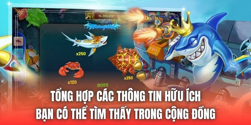 Tổng hợp các thông tin hữu ích bạn có thể tìm thấy trong cộng đồng